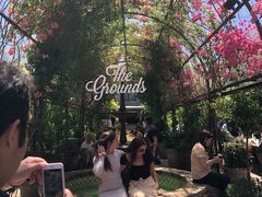 -The Grounds of Alexandria