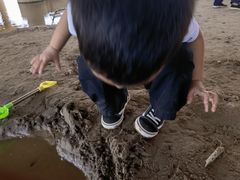 -灞河西岸滨河公园