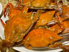 -禾斗海鲜自助(市南银座店)