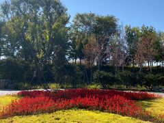 -永定河休闲森林公园