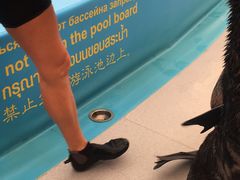 -尼莫海豚馆