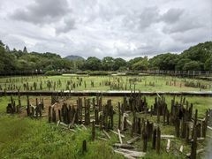 -河姆渡遗址博物馆