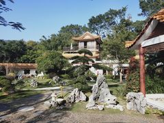 -深圳仙湖植物园