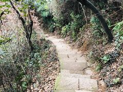 -杭州半山国家森林公园