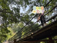 -南宁良凤江国家森林公园