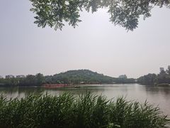 -南翠屏公园