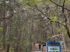 -帽儿山国家森林公园