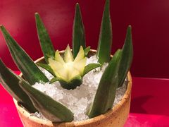 冰镇秋葵-久喜番和牛烧肉酒场(北辰三角洲店)