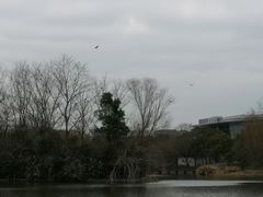 -新江湾城公园