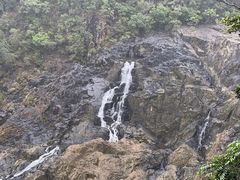 -热带雨林自然公园