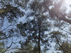 -南京金牛湖风景区