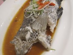 -宝燕壹号(徐汇店)