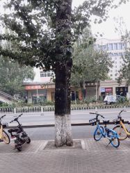 -LJOY丽锦造型·烫发染发