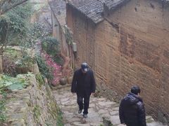 -杨家堂村