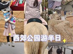-前关湿地公园