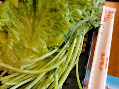 生菜-呷哺呷哺 黄金牧场 (盛世天骄店)