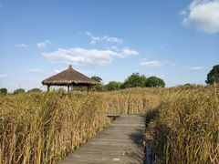 -梁鸿国家湿地公园