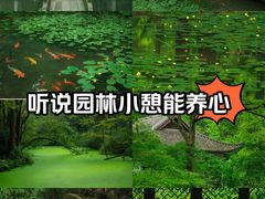 -虎跑公园