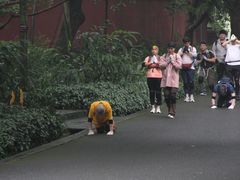 -峨眉山报国寺
