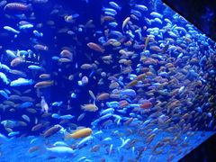 -成都浩海立方海洋公园