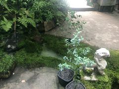 -植觉