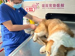 -哆趣宠物医院·眼科·内镜·急重症转诊中心(上海店)