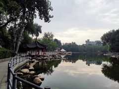 -莲湖公园