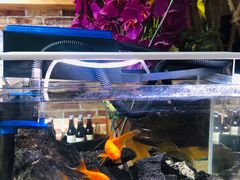 -三个大叔烤羊肉串·炭炉砂锅菜(西三旗店)