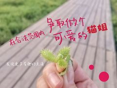 -汉江湾体育公园