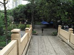 -晓港公园