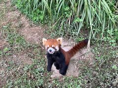 -宁波野生动物园