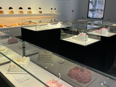 -BLACKSWAN黑天鹅(环球店)