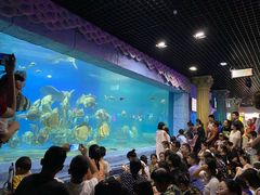 -梦幻海洋王国(吾悦广场张家港店)