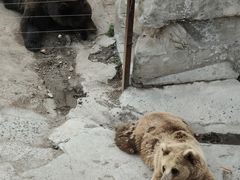 -哈尔滨北方森林动物园