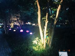 -西湖天地