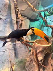 -Zoolung Zoolung动物主题公园(海信广场店)