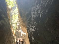-武陵山森林公园