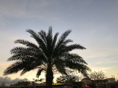 -亚龙湾中心广场