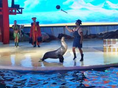 -三亚海昌梦幻海洋不夜城