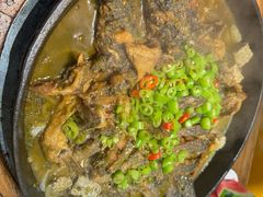 -老板恋上鱼(印象城店)