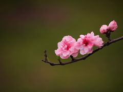 -共青国家森林公园-售票处