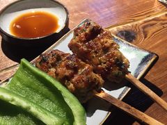 鸡肉丸-TINY