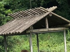 -宁波野生动物园