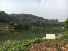 -南国桃园旅游度假区