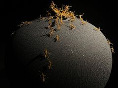 -深圳珠宝博物馆