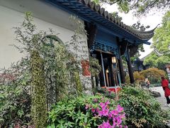 -西湖外事游船(花港观鱼码头)