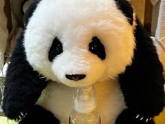 -轩客会(熊猫书店)