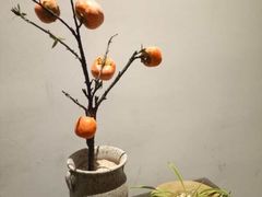 -铁道茶苑.色稷餐厅(莲花南路店)