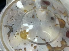 -罗子龙罗家桂花汤圆(曹都巷店)