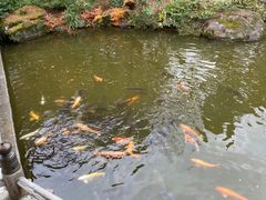 -成田山新胜寺